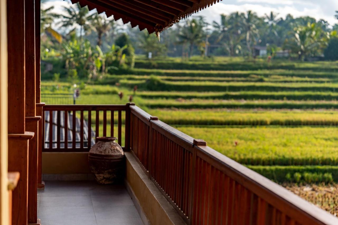 Barong Bali Villas 乌布 外观 照片